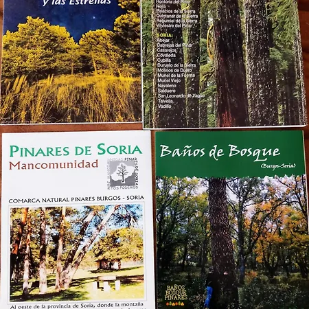 El Cielo De Muriel Mejor Starlight Del Mundo Astroturismo Y Naturaleza