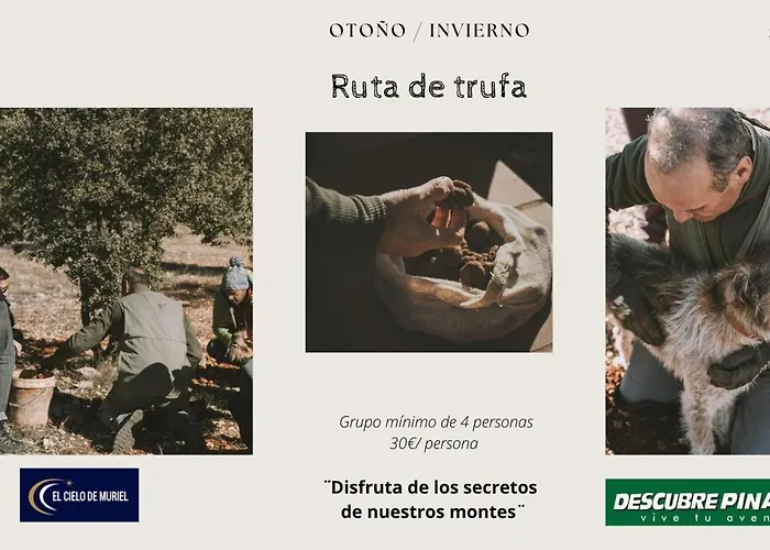 El Cielo De Muriel Mejor Starlight Del Mundo Astroturismo Y Naturaleza 호텔