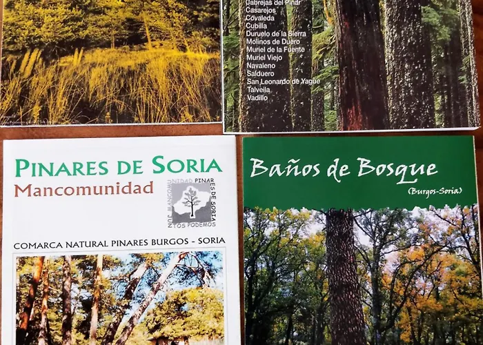 El Cielo De Muriel Mejor Starlight Del Mundo Astroturismo Y Naturaleza